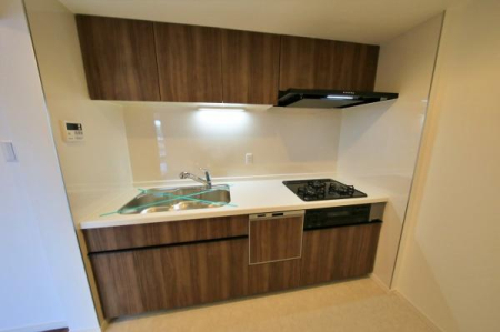 _ސ쌧lsߌ擌̒Ã}V̐ʑEʏ