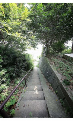 _ސ쌧lsۓyPJ㐯2ڂ̒ÈˌĂ̑OʓH܂ތnʐ^