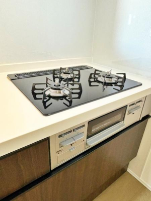 _ސ쌧ls`k撹R̐VzˌĂ̓dlʐ^(Lb`j