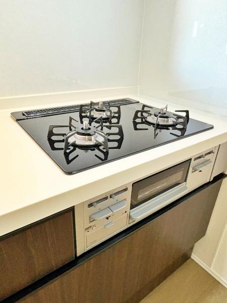 _ސ쌧ls`k撹R̐VzˌĂ̓dlʐ^(Lb`j