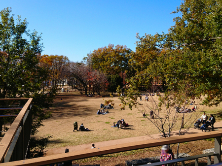 scsߊ6ڂ̒ÈˌĂ̎ӊ