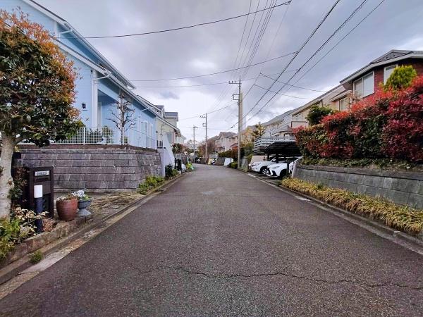 _ސ쌧lstu2ڂ̒ÈˌĂ̑OʓH܂ތnʐ^