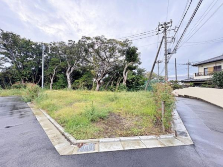 _ސ쌧s1ڂ̓yňnynʐ^