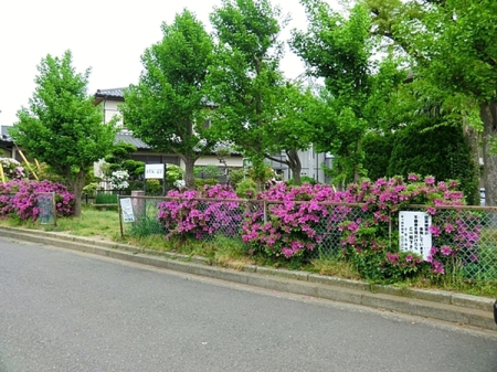 _ސ쌧s̐VzˌĂ̎ӊ