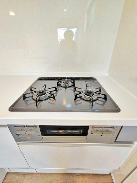 _ސ쌧s~2ڂ̐VzˌẴLb`