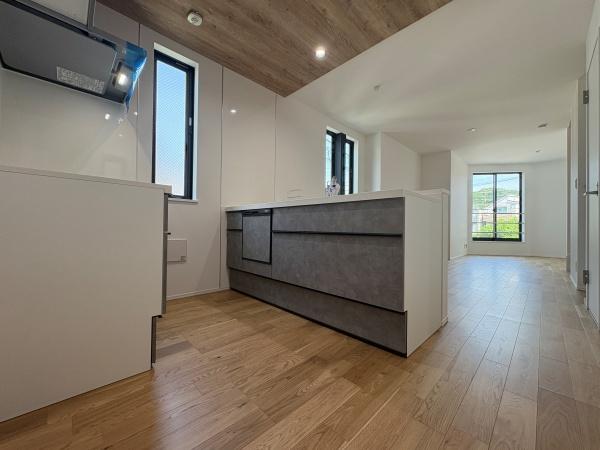 _ސ쌧lsߌn1ڂ̐VzˌẴLb`