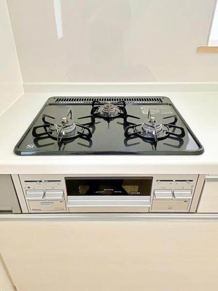 _ސ쌧lst`c4ڂ̐VzˌẲ摜