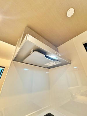 _ސ쌧lstޗǒ̐VzˌẴLb`