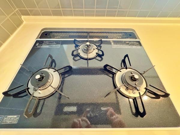 _ސ쌧lss}擌Rc̒ÈˌẴLb`