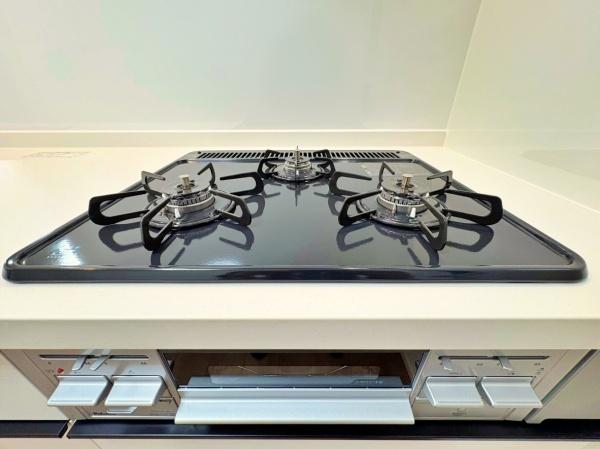 _ސ쌧ls`k揬̐VzˌẴLb`