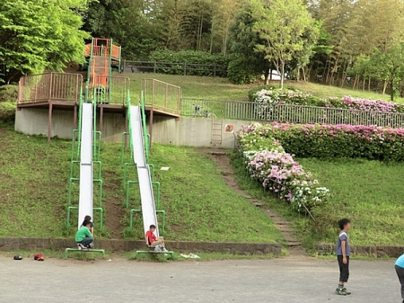 _ސ쌧lss}`c4ڂ̒Ã}V̎ӊ