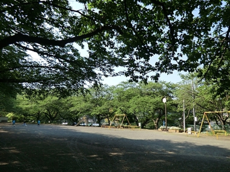 _ސ쌧{sl2ڂ̐VzˌĂ̎ӊ