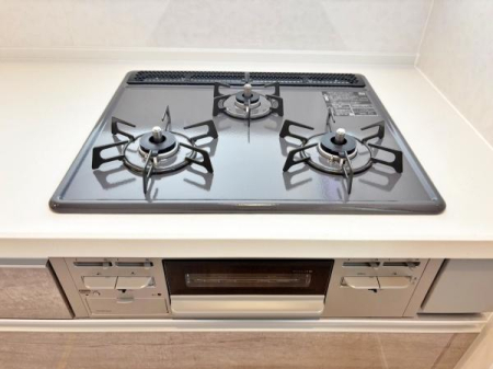 �_�ސ쌧���l�s�`�������R1���ڂ̐V�z��ˌ��ẴL�b�`��