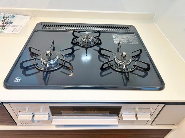 _ސ쌧lsߌ̋{2ڂ̐VzˌẴLb`