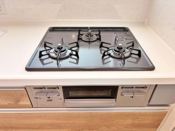 _ސ쌧ls`R1ڂ̐VzˌẴLb`