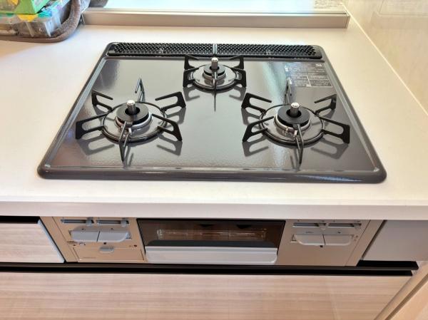 _ސ쌧ls`R1ڂ̐VzˌẴLb`