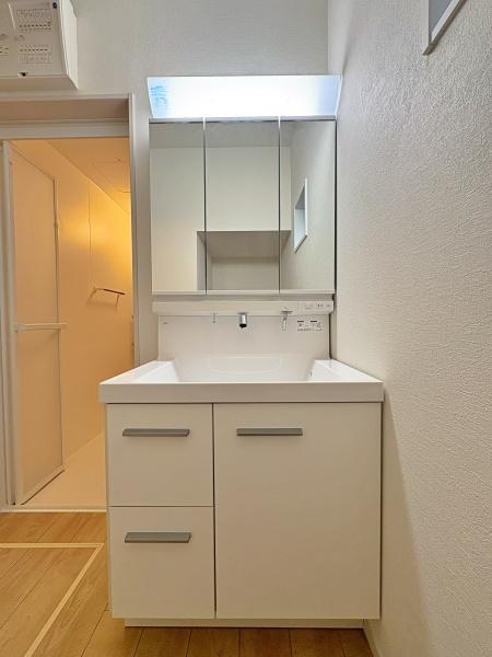 _ސ쌧ls˒ˋ敽2ڂ̐VzˌĂ̐ʑEʏ