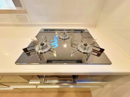 _ސ쌧ls˒ˋ拂򒬂̒ÈˌẴLb`