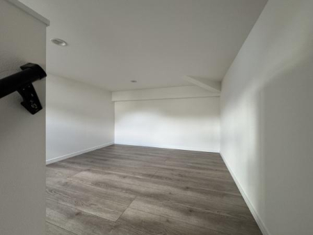 _ސ쌧ls߃P{2ڂ̐VzˌĂ̂̑