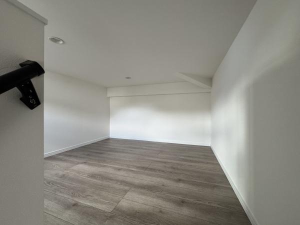 _ސ쌧ls߃P{2ڂ̐VzˌĂ̂̑