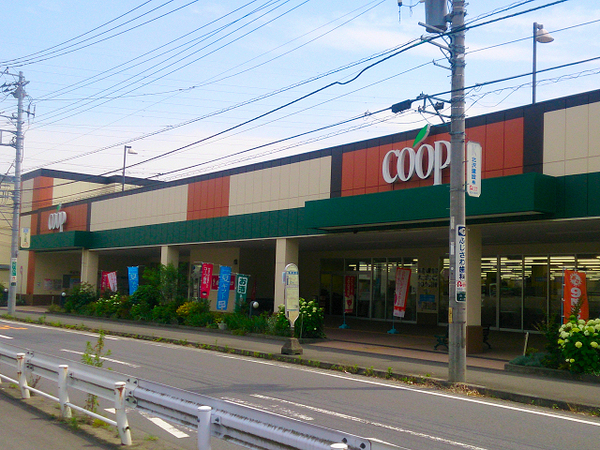 _ސ쌧ls߃P{2ڂ̐VzˌĂ̎ӊ