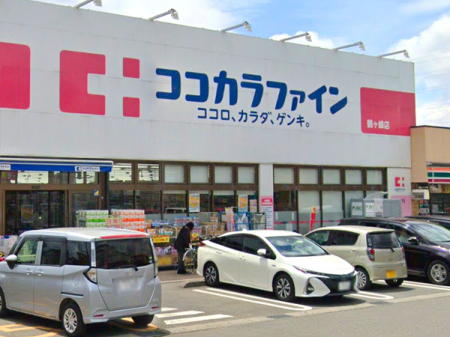 _ސ쌧ls߃P{2ڂ̐VzˌĂ̎ӊ