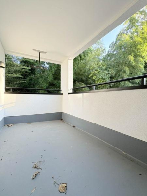 _ސ쌧ls`k揬̐VzˌẴoRj[