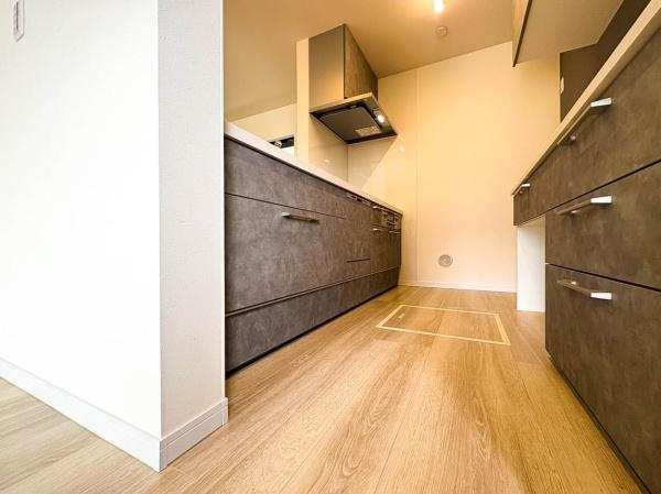 _ސ쌧lshbPJ1ڂ̐VzˌẴLb`