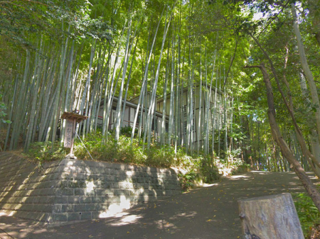 _ސ쌧lss}rӒ̐VzˌĂ̎ӊ