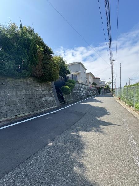 scs1ڂ̒ÈˌĂ̑OʓH܂ތnʐ^