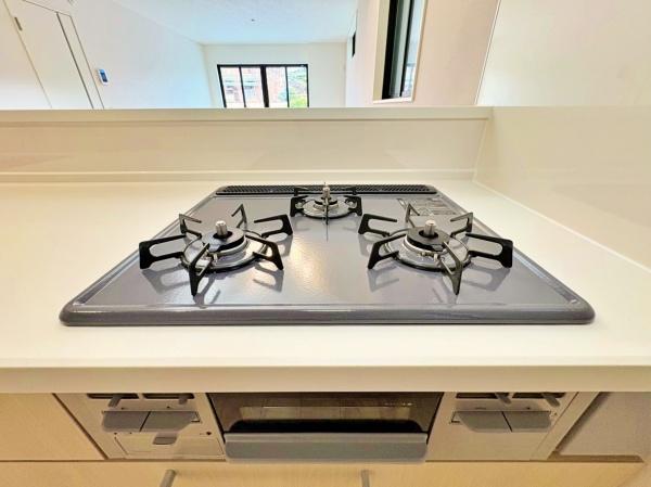 �_�ސ쌧��a�s���c5���ڂ̐V�z��ˌ��ẴL�b�`��