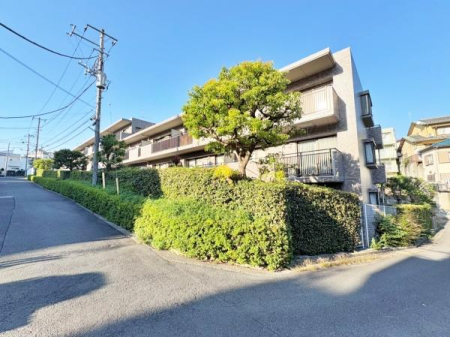 _ސ쌧ls_ސOc㒬̒Ã}V̂̑n