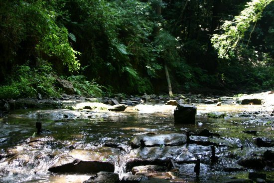 _ސ쌧lsۓyPJ쓇̐VzˌĂ̎ӊ