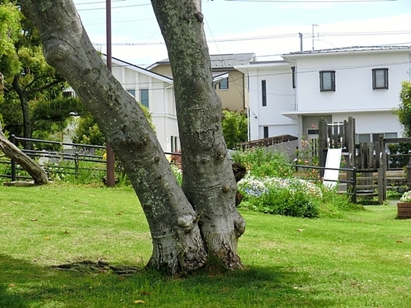 _ސ쌧qsK2ڂ̓yn̎ӊ