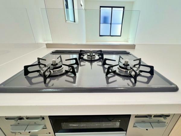 _ސ쌧lshѓ̐VzˌẴLb`