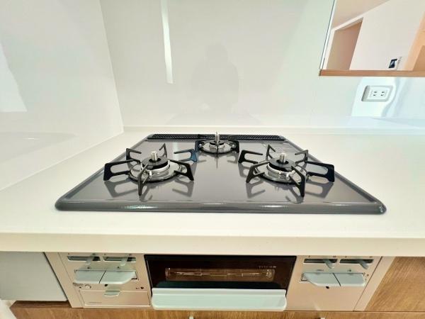 _ސ쌧lshѓ̐VzˌẴLb`