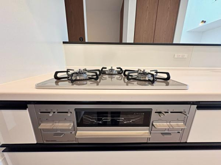 �_�ސ쌧����s���̐V�z��ˌ��ẴL�b�`��