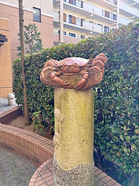 �_�ސ쌧���l�s����V�R��3���ڂ̒��Ã}���V�����̉摜