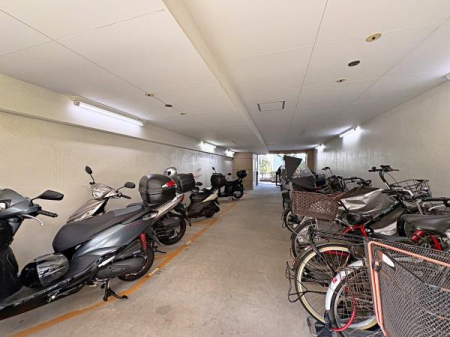 �_�ސ쌧���l�s����V�R��3���ڂ̒��Ã}���V�����̂��̑����p��