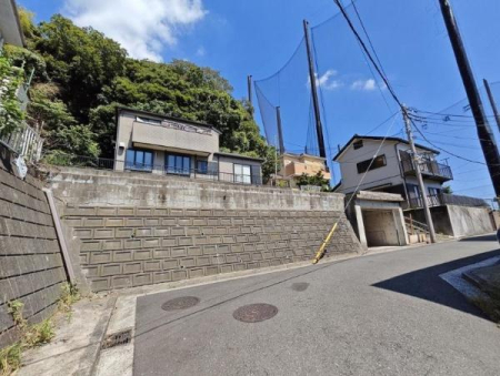 _ސ쌧ls`4ڂ̓yn̑OʓH܂ތnʐ^