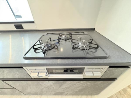 �_�ސ쌧������s������̐V�z��ˌ��ẴL�b�`��