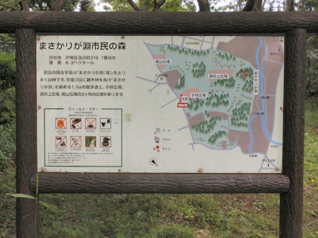 _ސ쌧ls˒ˋ[J̐VzˌĂ̎ӊ