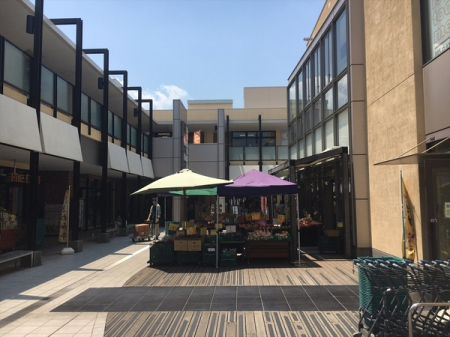 _ސ쌧lst꒬̐VzˌĂ̎ӊ