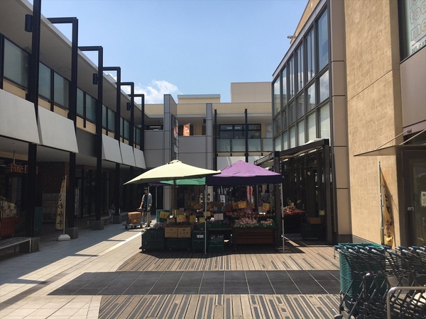 _ސ쌧lst꒬̐VzˌĂ̎ӊ