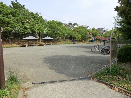 _ސ쌧lst꒬̐VzˌĂ̎ӊ