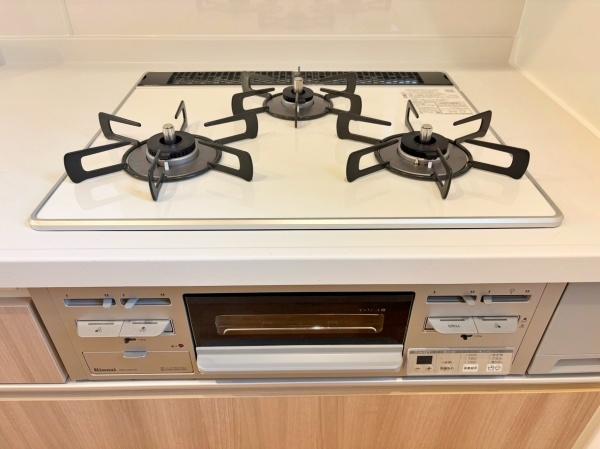 _ސ쌧lsqq2ڂ̒ÈˌẴLb`