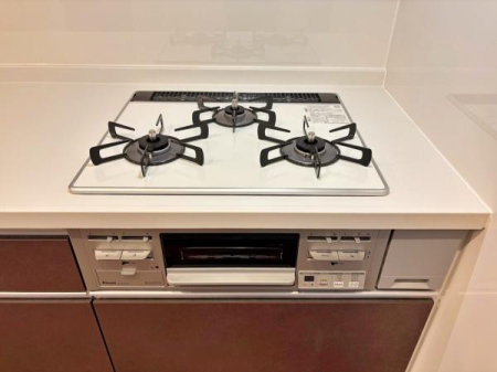 �_�ސ쌧���l�s��攒�S��3���ڂ̒��È�ˌ��ẴL�b�`��