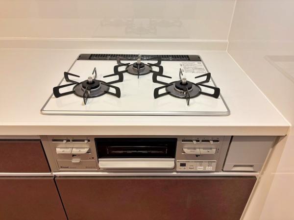 �_�ސ쌧���l�s��攒�S��3���ڂ̒��È�ˌ��ẴL�b�`��