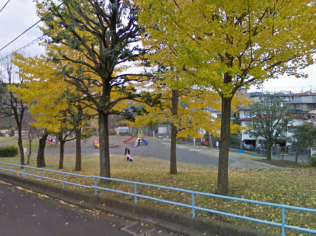 _ސ쌧ls攐̐VzˌĂ̎ӊ