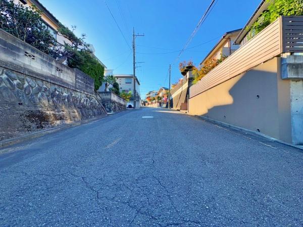 _ސ쌧ls斜R̓yn̑OʓH܂ތnʐ^